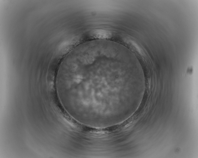 X0000092000553200709131516