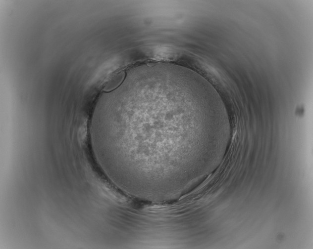 X0000092000554200709131516