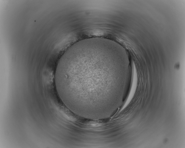 X0000092000555200709131516