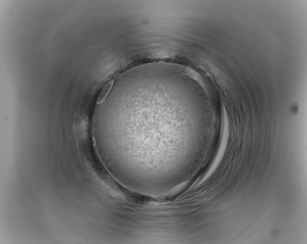 X0000092000556200709131516