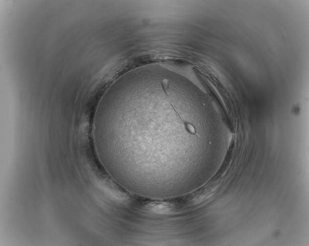 X0000092000557200709131516