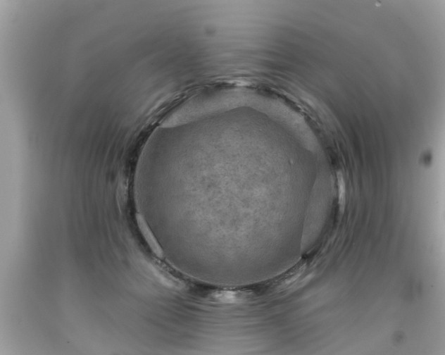 X0000092000558200709131516