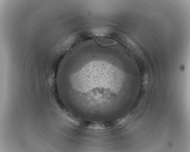 X0000092000559200709131516