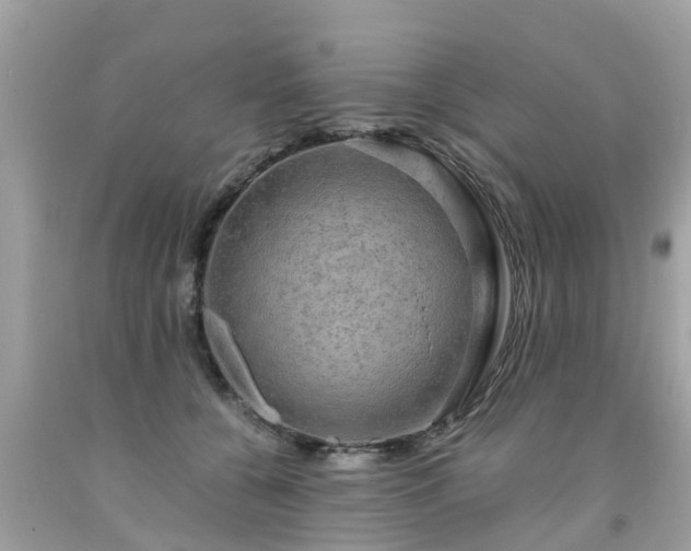 X0000092000560200709131516