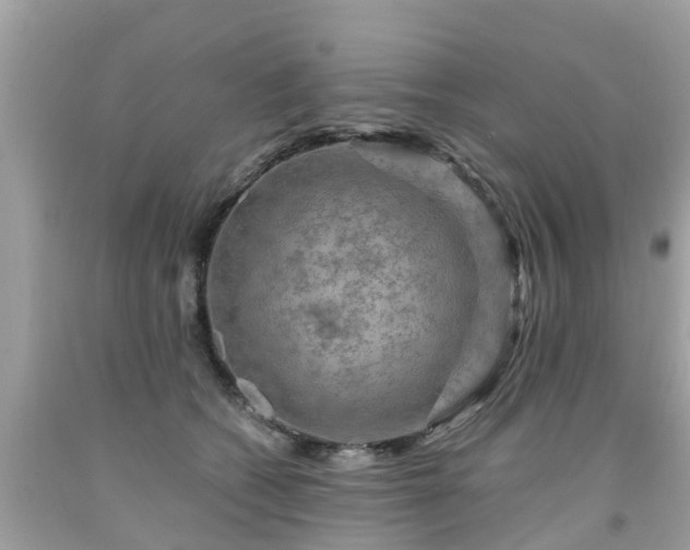 X0000092000562200709131516