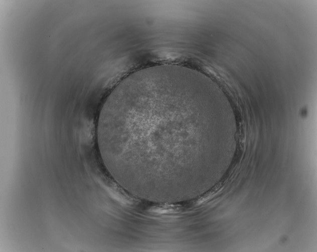 X0000092000563200709131517