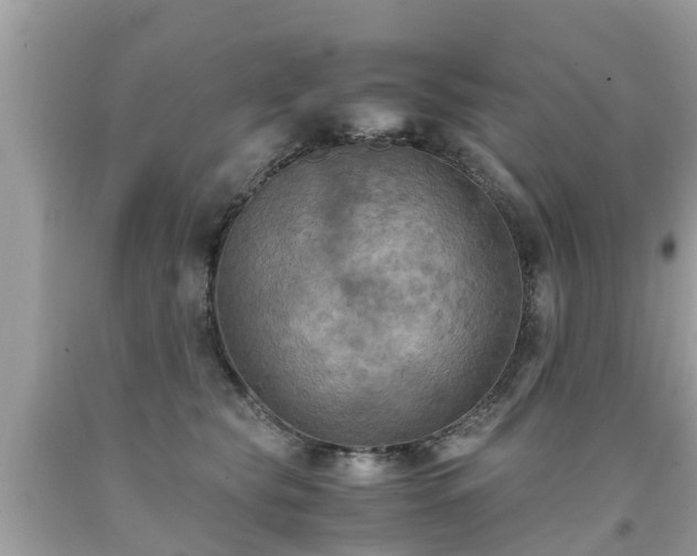 X0000092000565200709131517