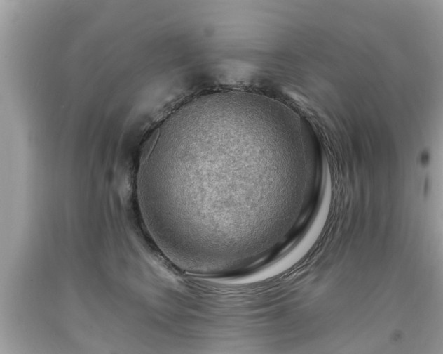 X0000092000566200709131517