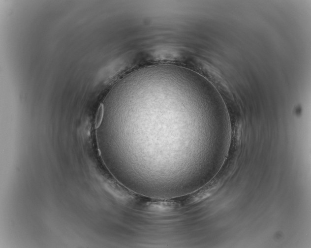 X0000092000567200709131517