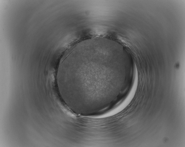 X0000092000570200709131517