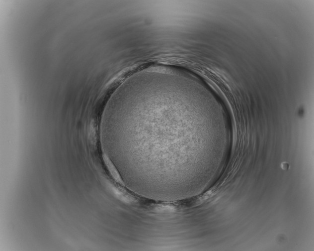 X0000092000572200709131517