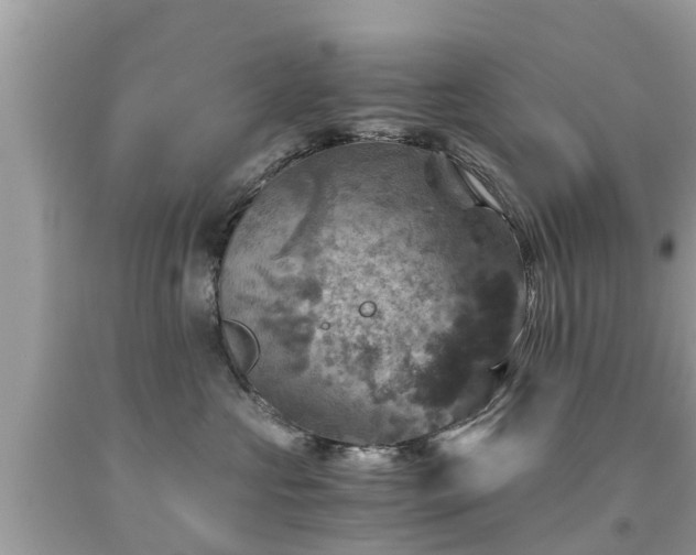 X0000092000573200709131517