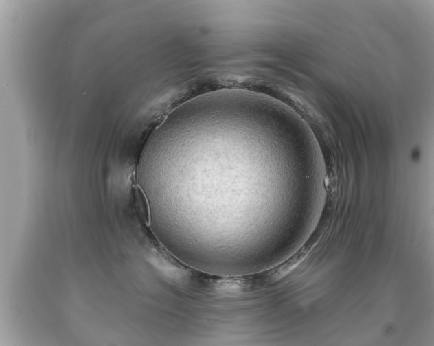 X0000092000574200709131517