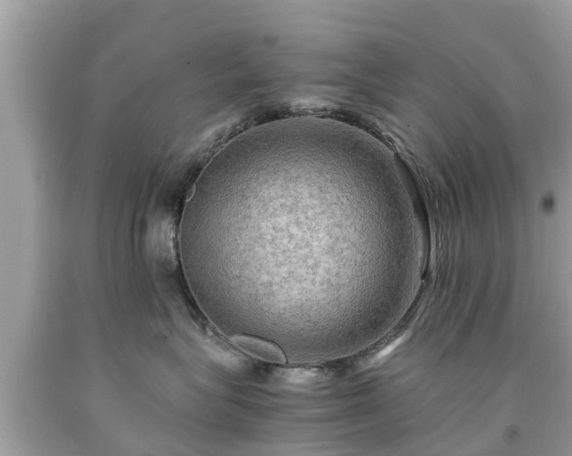 X0000092000575200709131517