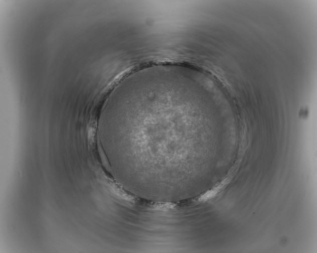 X0000092000576200709131517