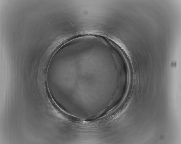 X0000092000577200709131516