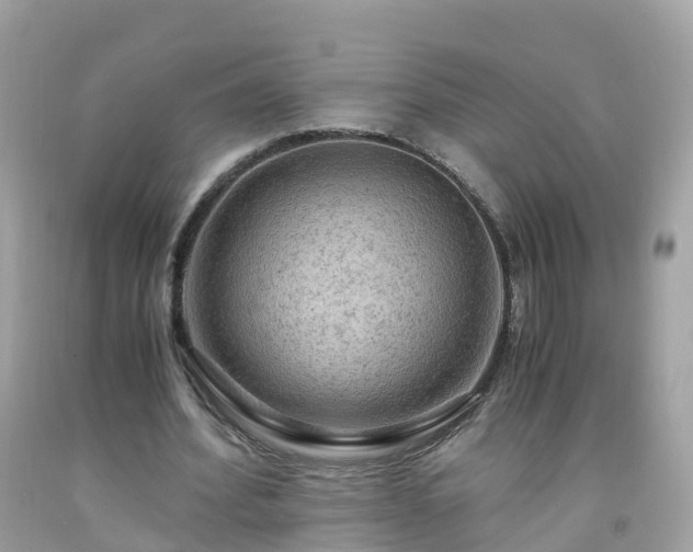 X0000092000580200709131516