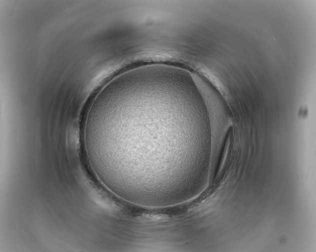 X0000092000582200709131516