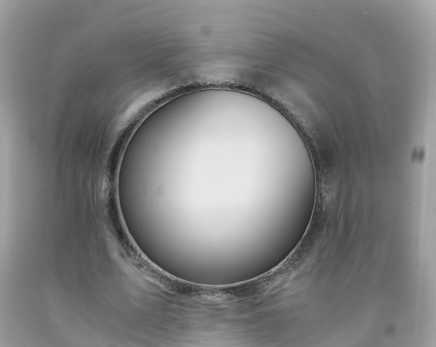 X0000092000583200709131516