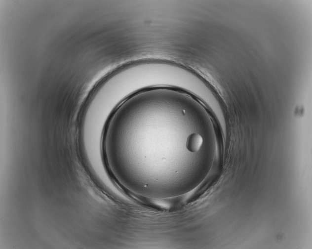 X0000092000584200709131516