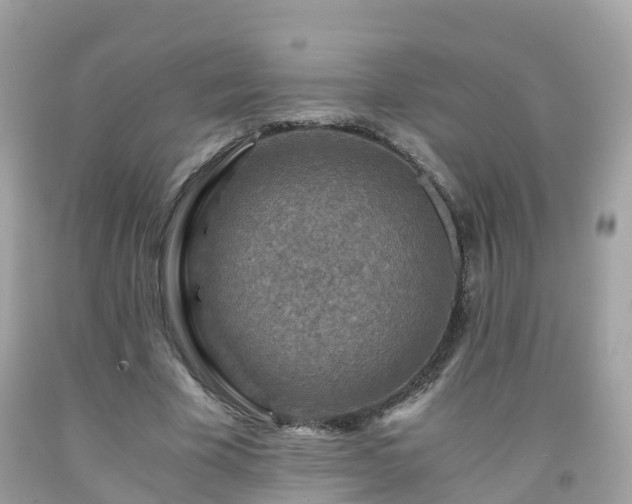 X0000092000585200709131516