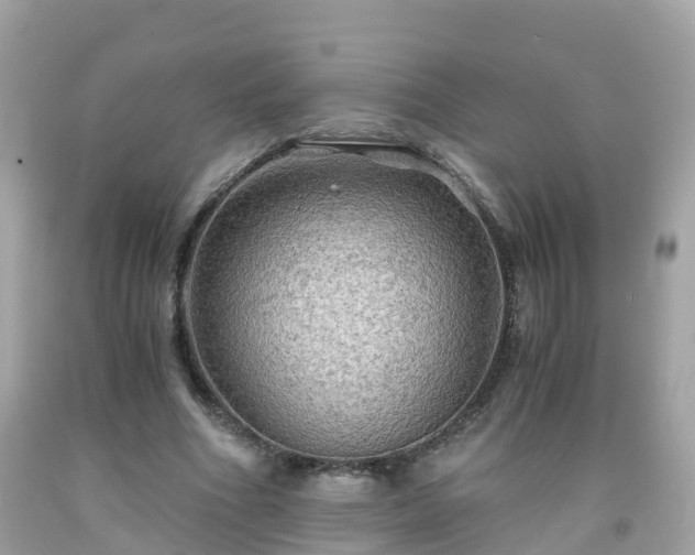 X0000092000586200709131516