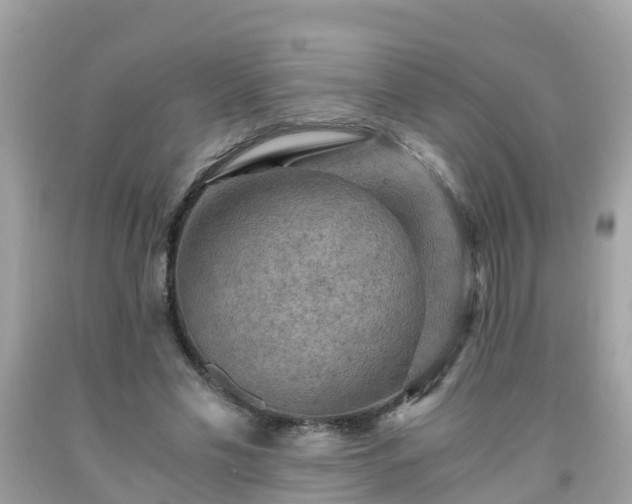 X0000092000589200709131516