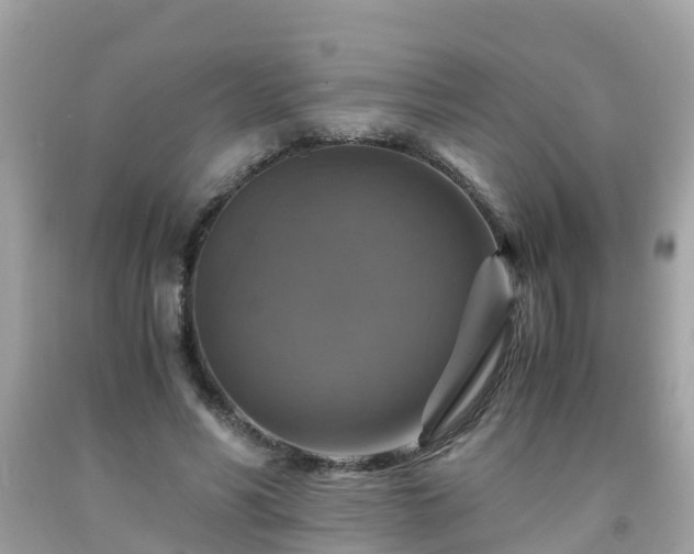 X0000092000590200709131516