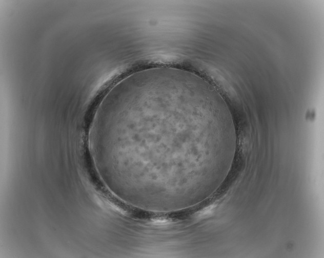 X0000092000591200709131516