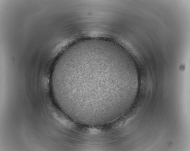 X0000092000592200709131516