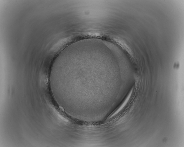 X0000092000593200709131516