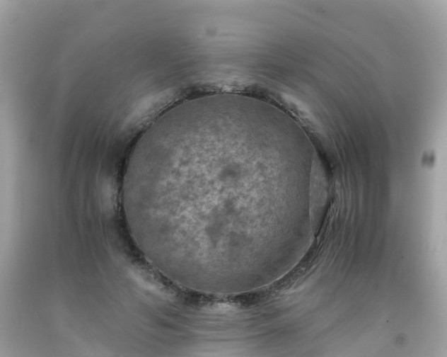 X0000092000594200709131516