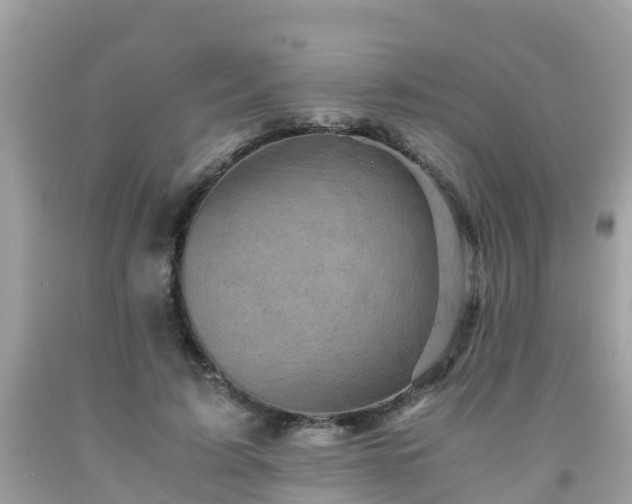 X0000092000595200709131516