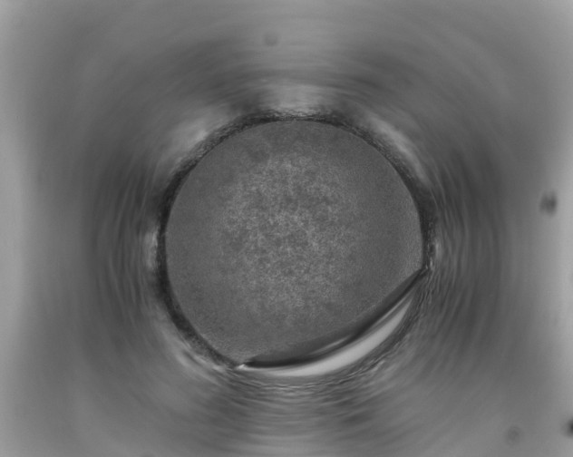 X0000092000596200709131516