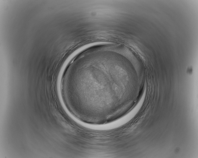 X0000092000597200709131516