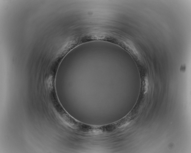 X0000092000598200709131516