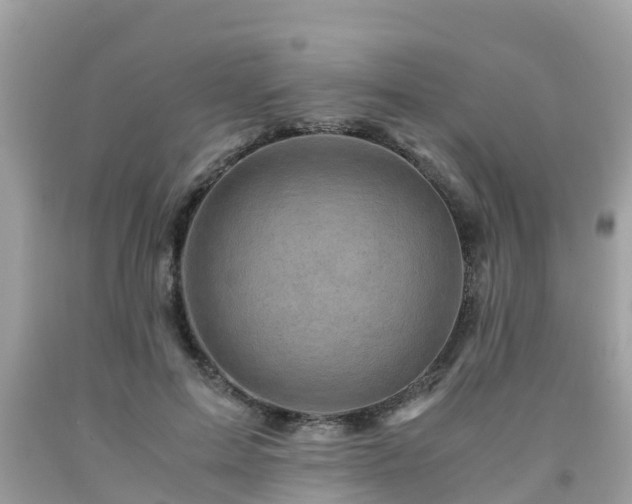 X0000092000599200709131516