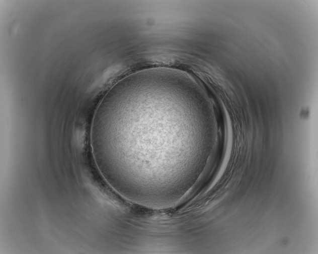 X0000092000600200709131516