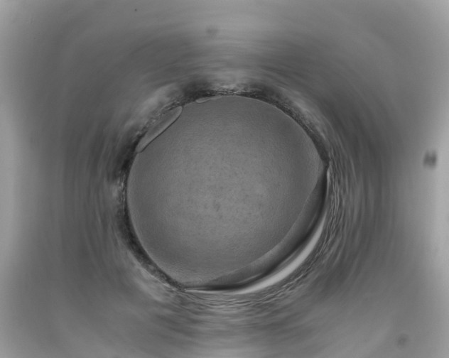 X0000092000601200709131516