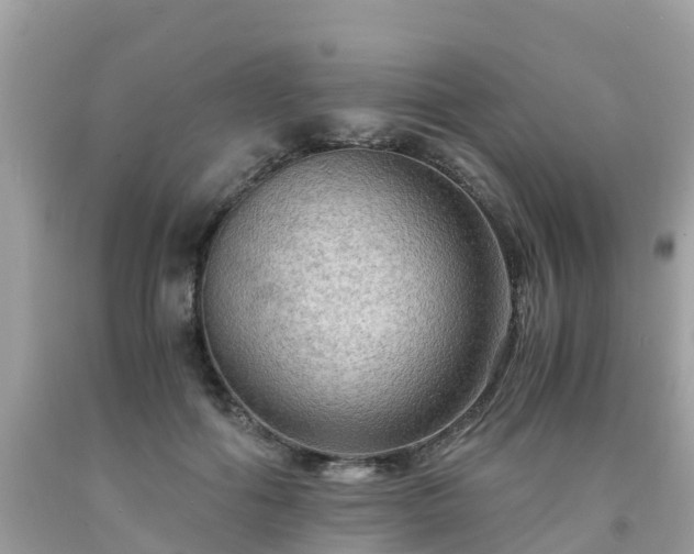 X0000092000602200709131516