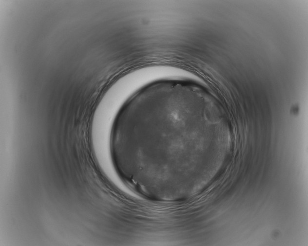 X0000092000604200709131516