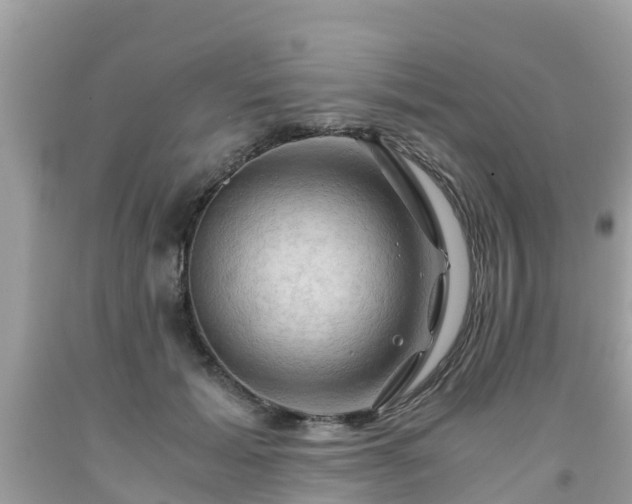 X0000092000605200709131516