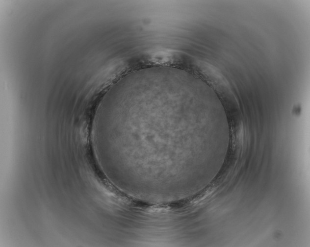 X0000092000606200709131516