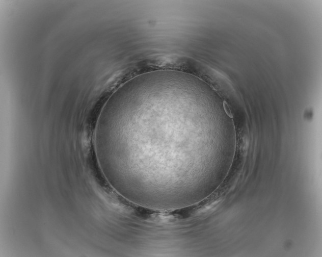 X0000092000607200709131516