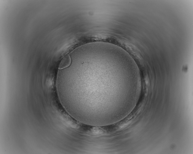 X0000092000608200709131516