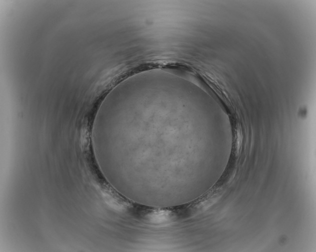 X0000092000609200709131515