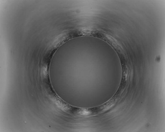 X0000092000610200709131515