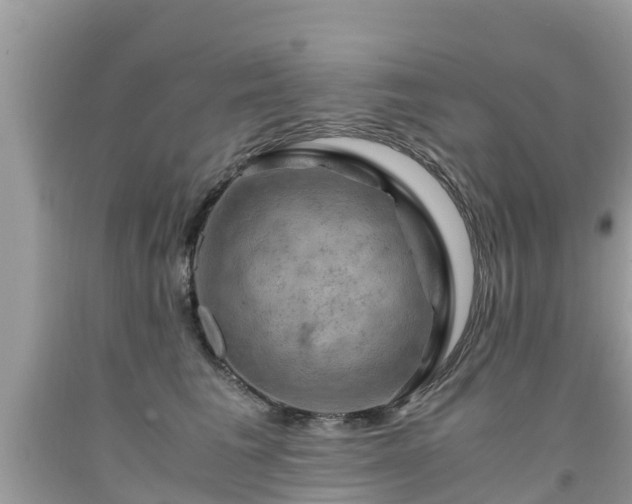 X0000092000613200709131515