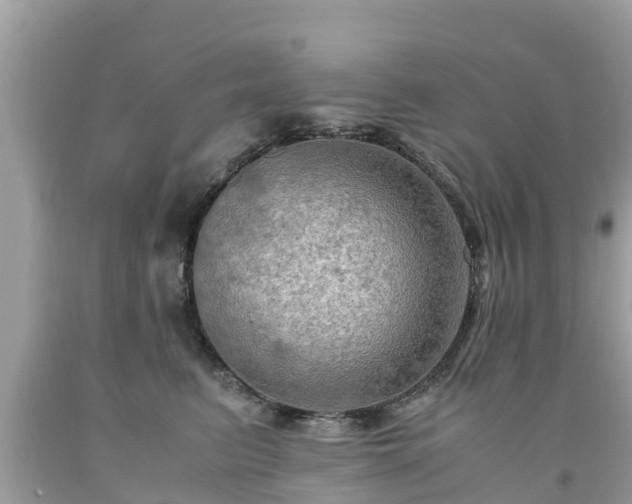 X0000092000615200709131515