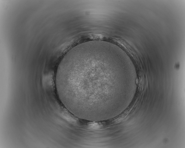 X0000092000616200709131515